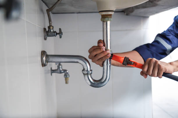 Best Local Plumber Services  in Desnso, CA